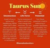 Zodiac Sun Signs. 
Zodiac Sun Signs.<br> @William.Threnody10310