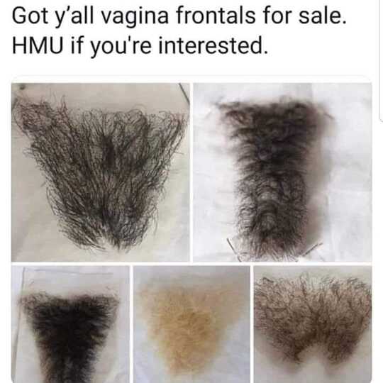 Here, ladies.
 
Here, ladies.
  @William.Threnody10310