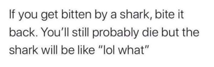 Try it! 
Try it!  @William.Threnody10310