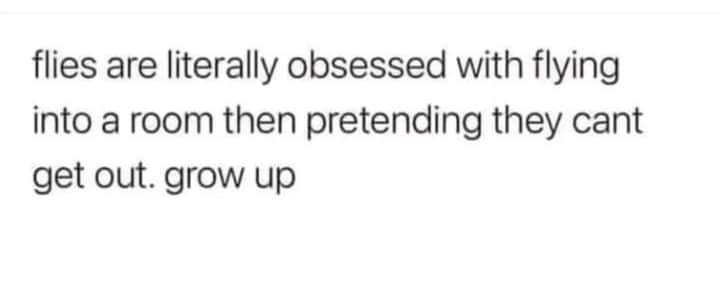 
  @William.Threnody10310