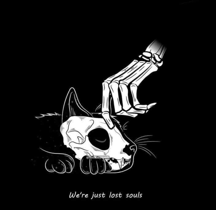 
  @William.Threnody10310