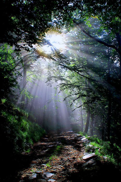 
I Like Pictures
lori-rocks: “ Close Encounters…. by Marco Soggetto ”

http://charlesdclimer.tumblr.com/post/147375329594/lori-rocks-close-encounters-by-marco