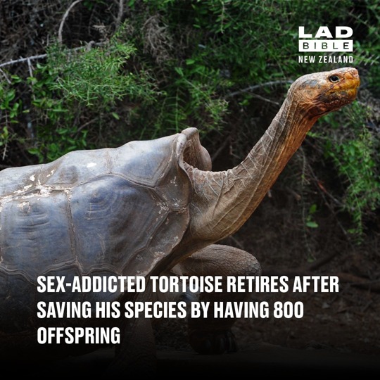 He was just one man on a mission 