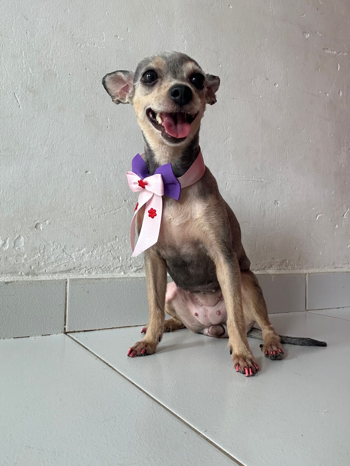 Irina_fantastic's My life partner Noah 🥰🐕‍🦺🐶
https://stripchat.com/Irina_fantastic/photos/11771395-63995375