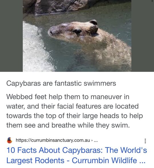 Just to calm your collective nerves here https://t.co/hjizjbzbZl