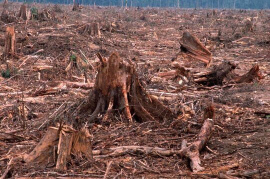 I miss the old White House Christmas decorations&hellip; https://t.co/v4CgslFWBN