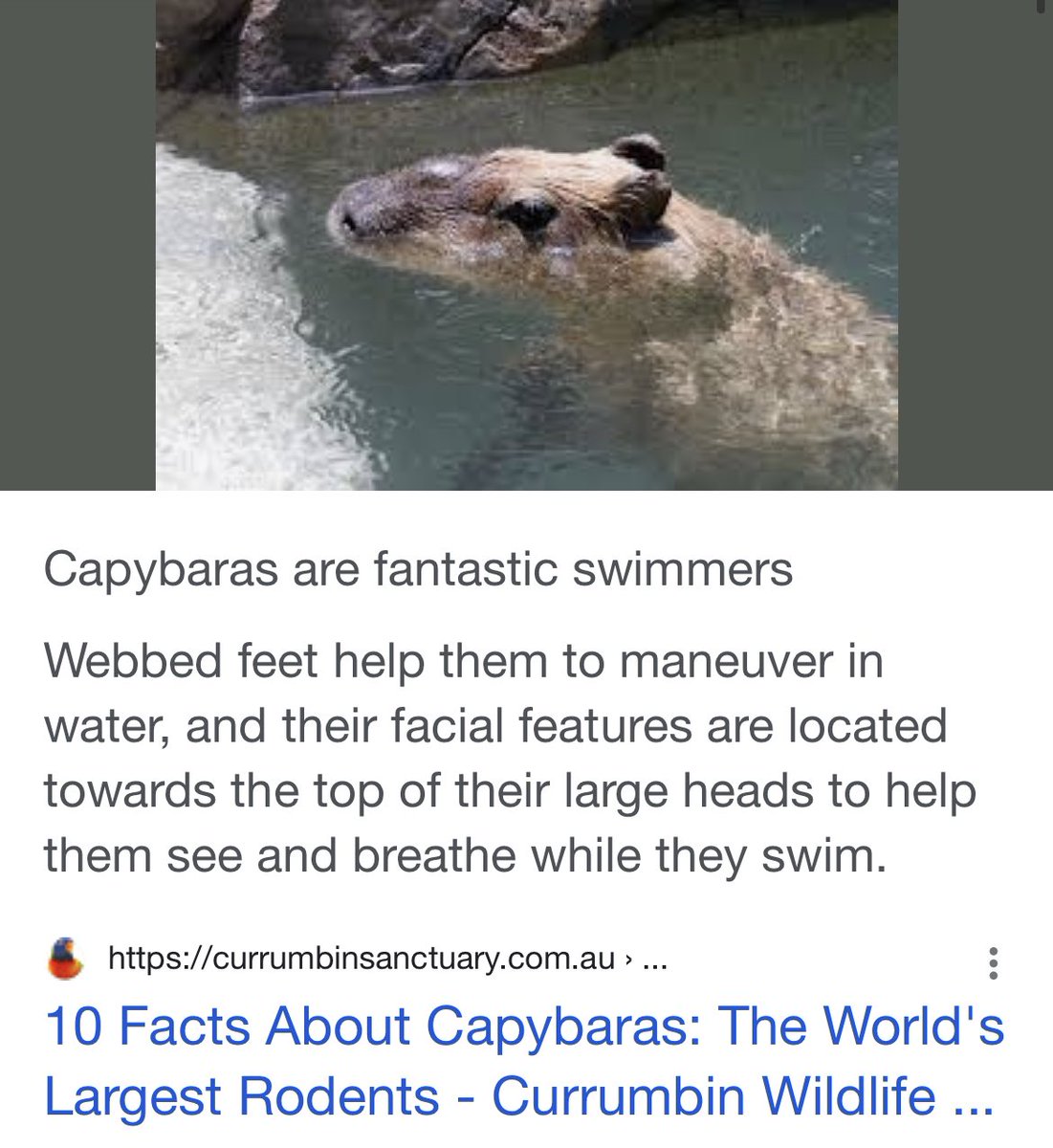 Just to calm your collective nerves here https://t.co/hjizjbzbZl