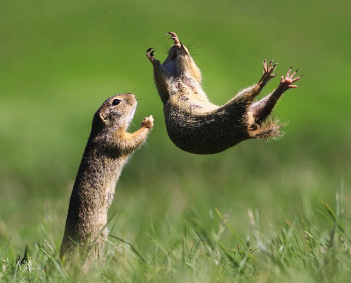 Trust fall https://t.co/WFDK1xPyQt