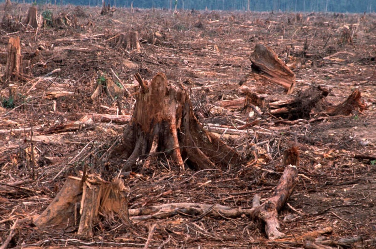 I miss the old White House Christmas decorations&hellip; https://t.co/v4CgslFWBN