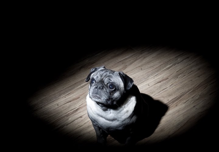 🎶THAT'S ME IN THE SPOT, LIGHT https://t.co/vKtHJeh7rd