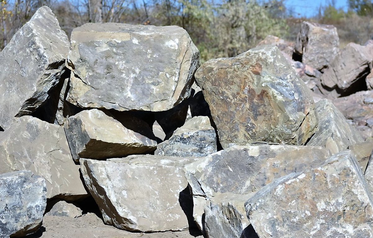 More comfortable than MyPillows https://t.co/5J6jffSpSQ