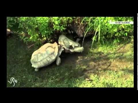 Sometimes you need a friend to get your back.Entertainment news todayVideo news todayLatest news videos on youtubeLatest news videosTag:newsboysnews bloopers...