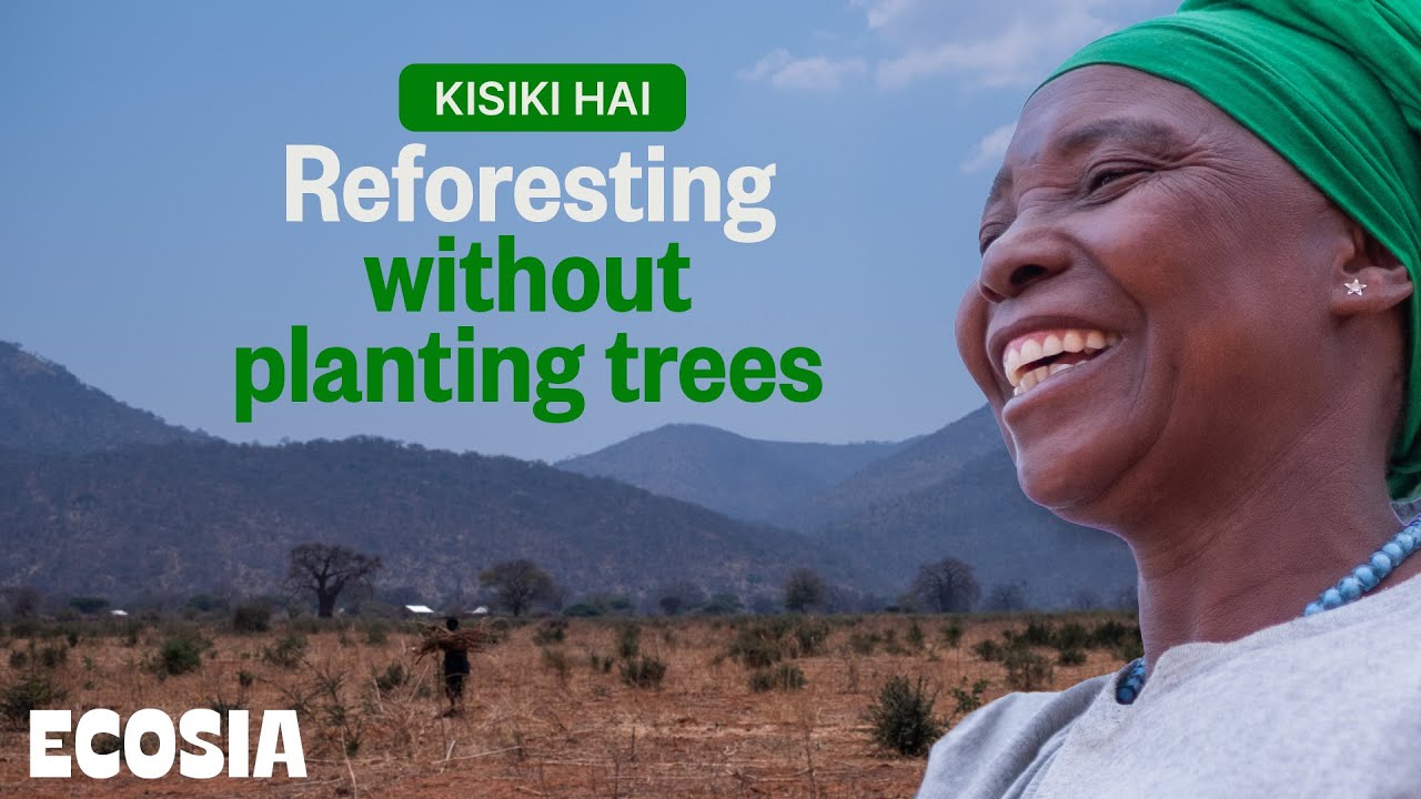 Ecosia is the search engine that plants trees. Get on Ecosia and be climate active every day: https://www.ecosia.org/ Climate change has arrived in Iyenge, ...