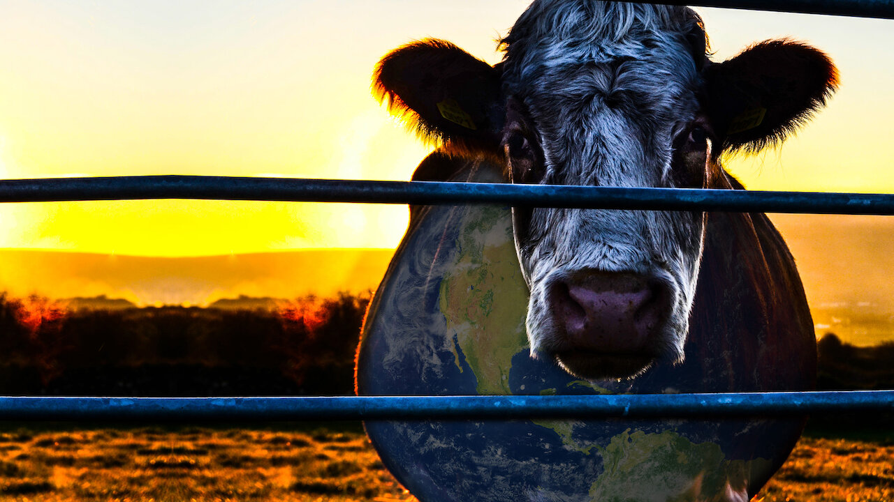 Learn how factory farming is decimating the planet's natural resources -- and why this crisis has been largely ignored by major environmental groups.