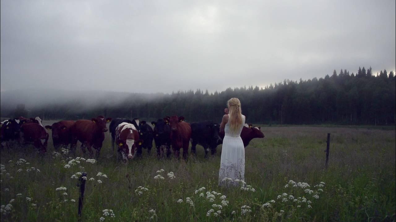 In the middle of the bright summernight I went out to call for the cows. I thought that maybe, something deep inside them, remember the sounds from the ancie...