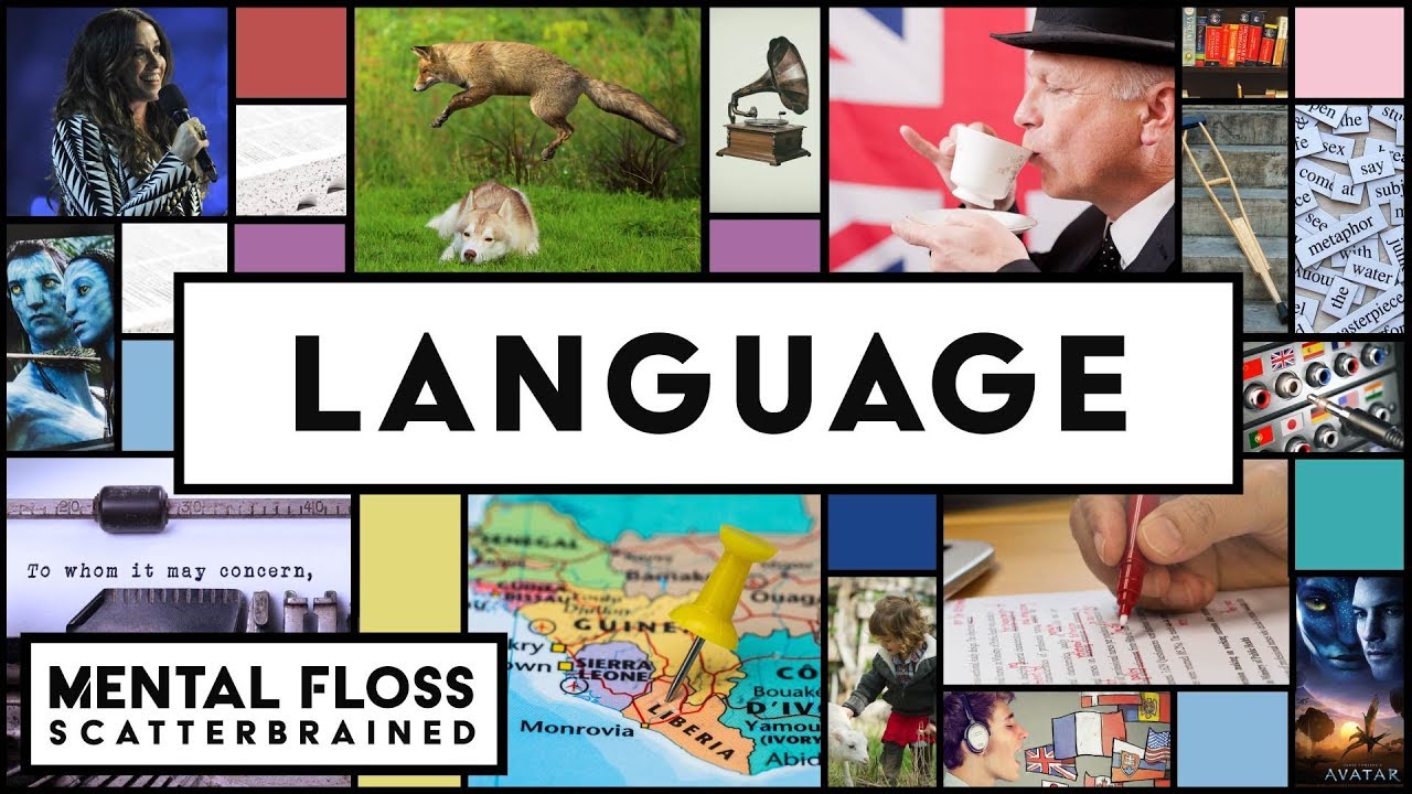 On today's episode of Scatterbrained, we're talking about language! We travel to Monrovia, Liberia where we meet an infamous polyglot who may not know how to...