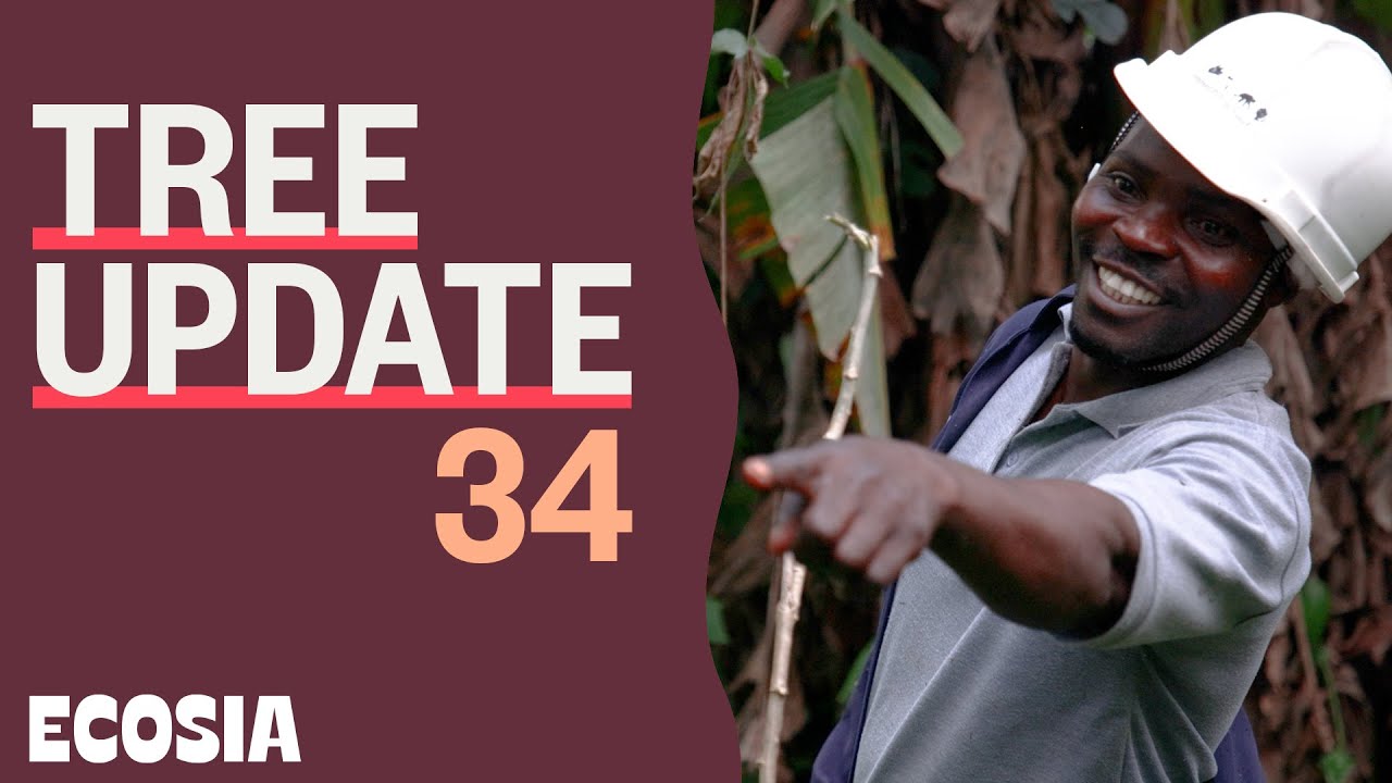 Ecosia is the search engine that plants trees. Get on Ecosia and be climate active every day: https://www.ecosia.org/ Welcome to Tree-Update 34! Rampant def...