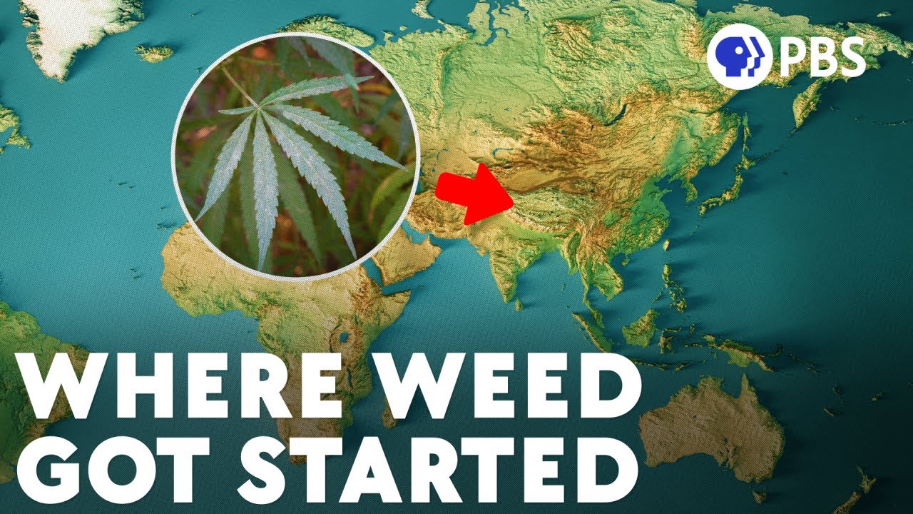 You can see SciShow's Deep Dive Into The Bizarre Future of Telescopes here: https://youtu.be/3xCRLJjSQAA?si=-09G_Q6sPhhLehMAHow did such a strange plant like...