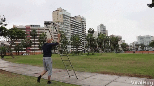 Click to view the GIF