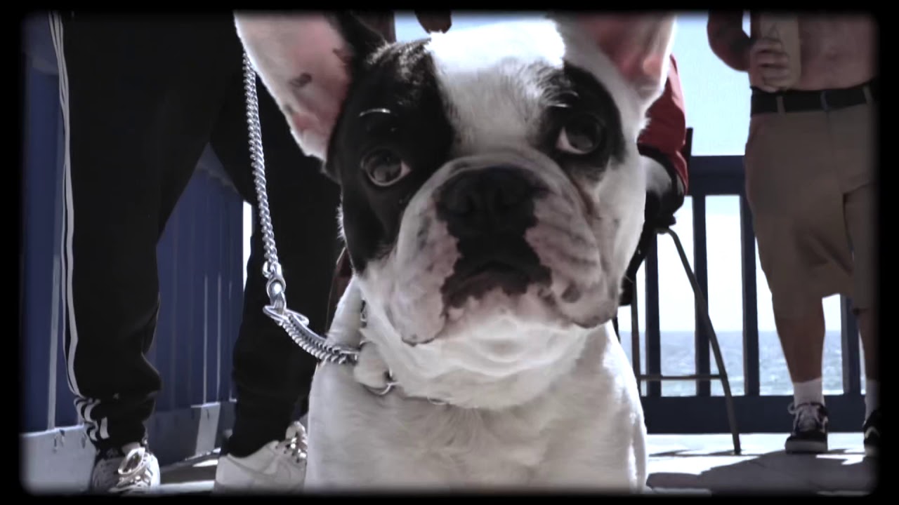 The title track off conspiracy realist, Kool Bâs brand new 9 track EP by the name of Bohemian Grove Rap City, This is Adelaide. Album available on all platfo...