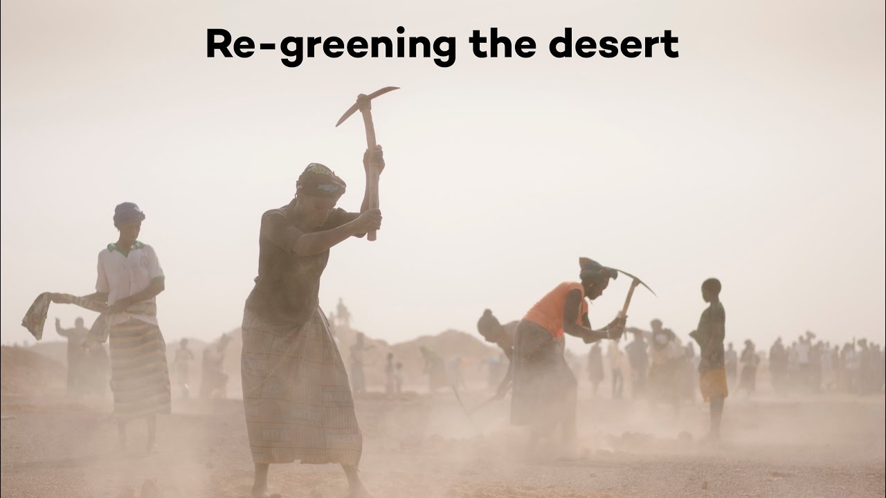 Ecosia is the search engine that plants trees: https://www.ecosia.org/Ecosia’s long-time friend Saydou Kalaga tells of the importance of reforesting the dese...