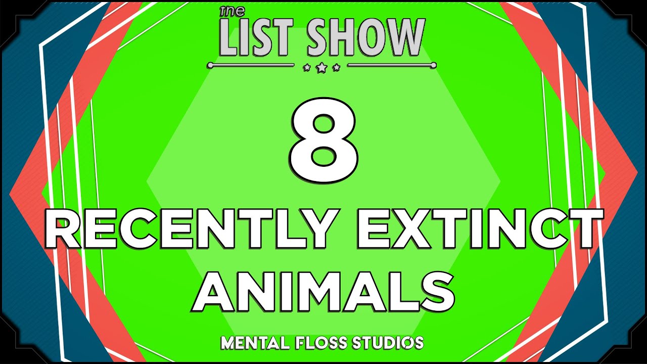 There’s a word for the final remaining member of a species: endling. In this episode of The List Show, host and Mental Floss Editor-in-Chief Erin McCarthy ta...