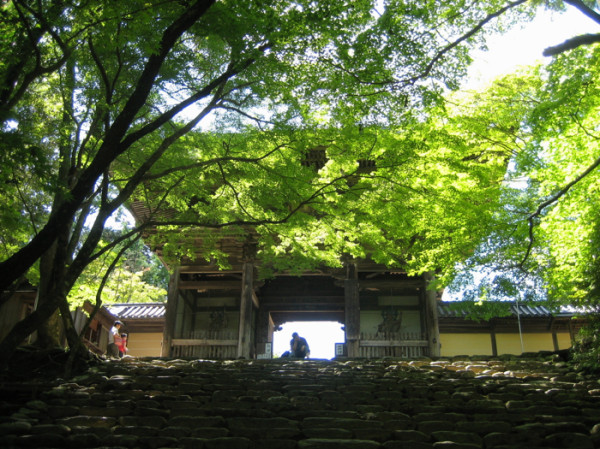 Morning read: True Peace of Mind, by Harada Sekkei Roshi https://t.co/yaU5wXRqqt