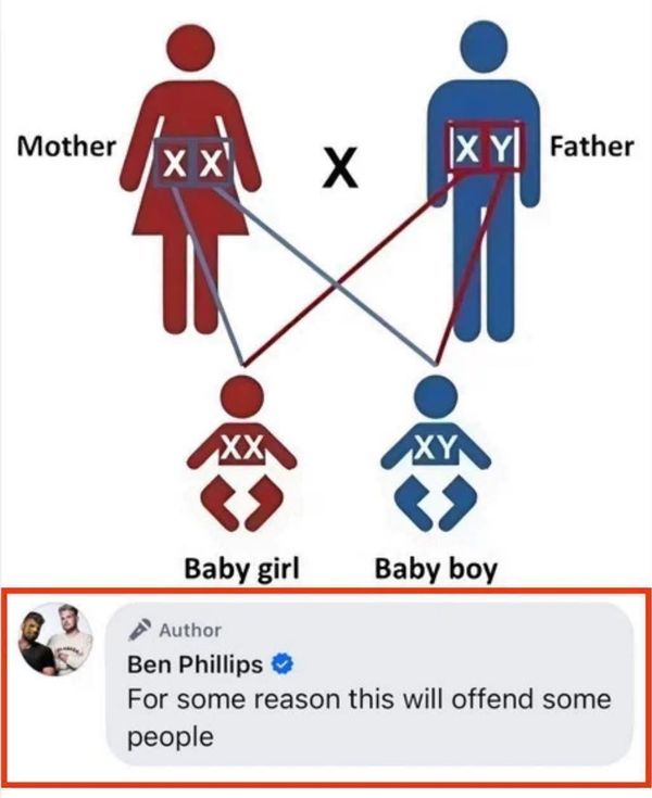 Ben Phillips. 7,928,802 likes · 237,652 talking about this. instagram.com/benphillipsuk <br> twitter.com/benphillipsuk <br> youtube.com/benphillipsuk