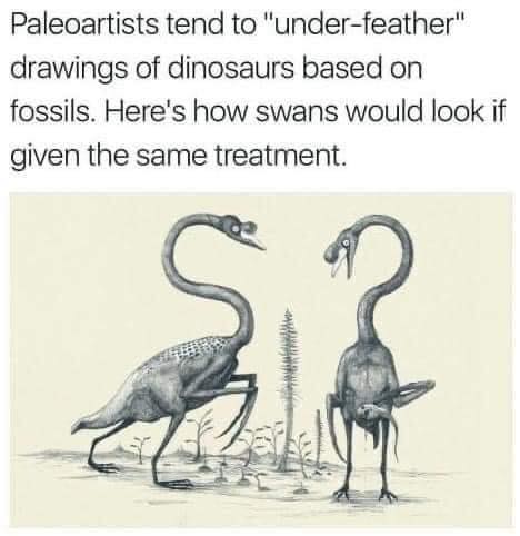 Meme Therapy added a new photo.