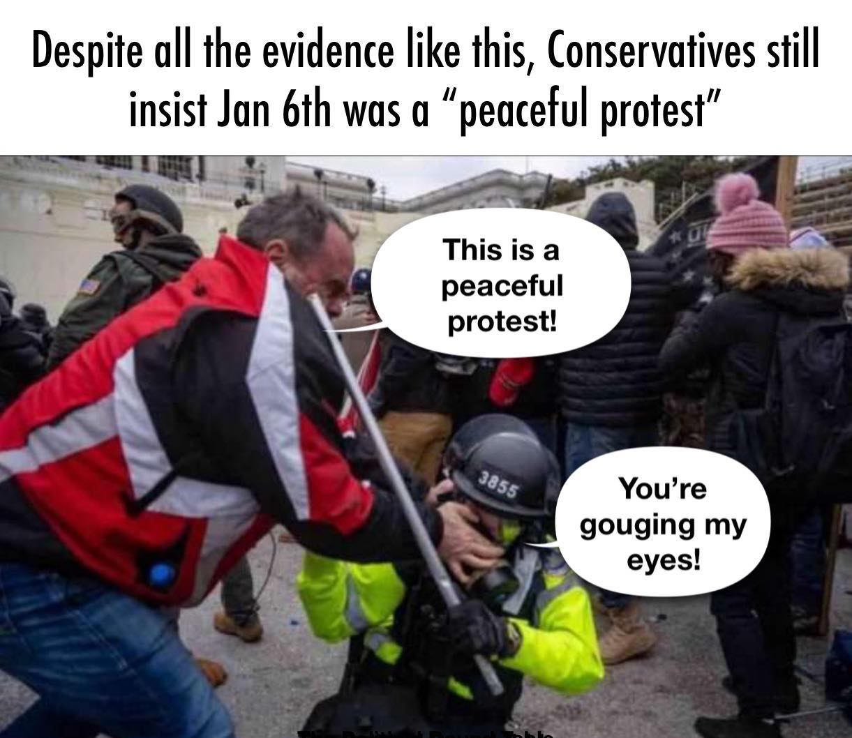 Imagine being so duped by Conservative media that you insist that BILLIONS of people didn't witness GOP violent crimes against law enforcement like this on January 6th.