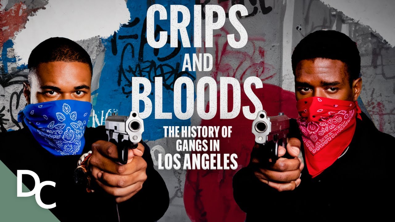 With a first-person look at the notorious Crips and Bloods, this film examines the conditions that have lead to decades of devastating gang violence among yo...
