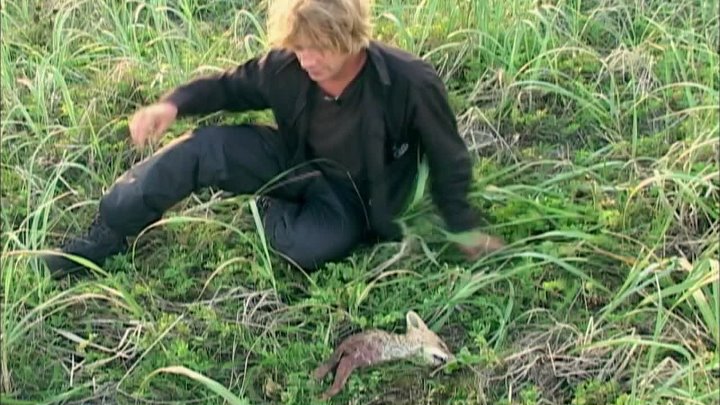 Grizzly Man... 2005<br> Welcome to the movies and television