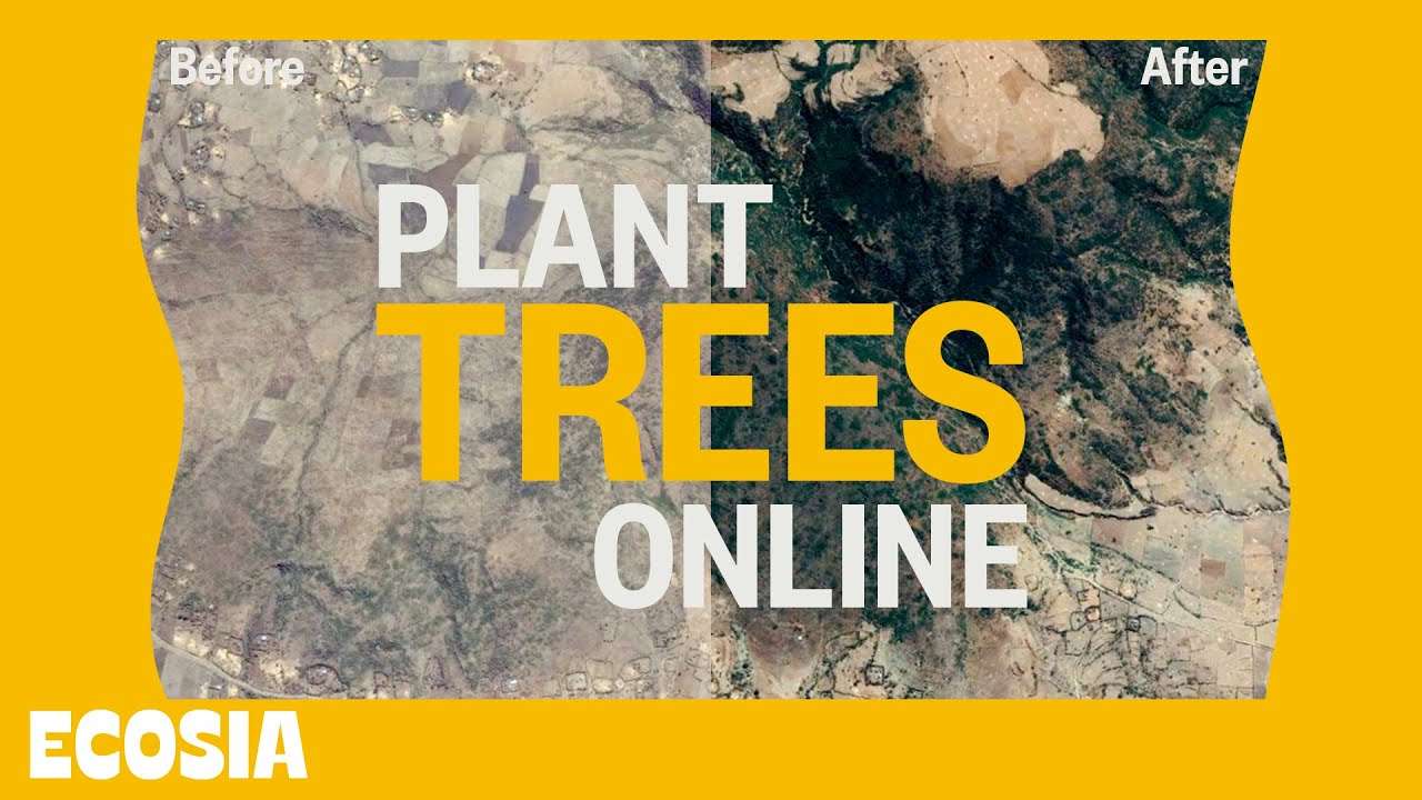 Ecosia is the search engine that plants trees: https://ecosia.co/info Our 15 million users have planted over 120 million trees, for free. Just by searching t...